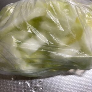 白菜の冷凍保存